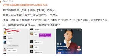 娱乐圈内幕爆料郑恺,揭秘明星背后的真实生活  第2张